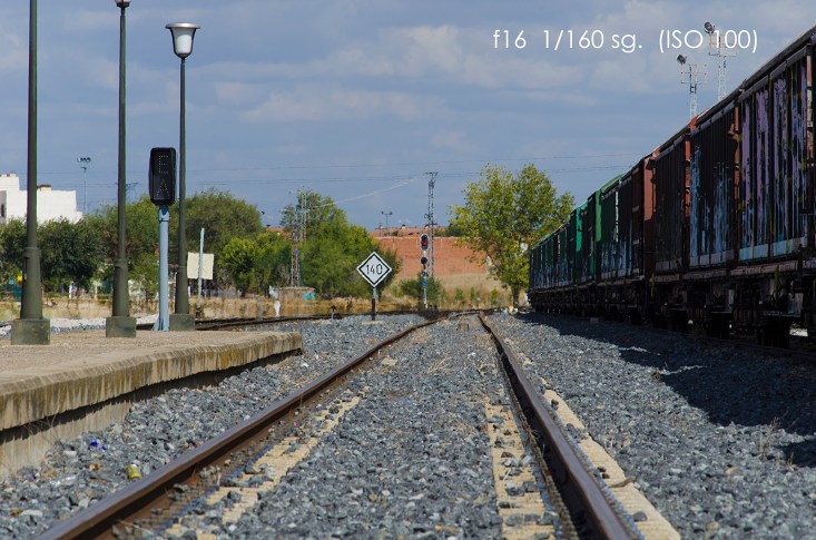 _DSC2372 (210 mm) mini