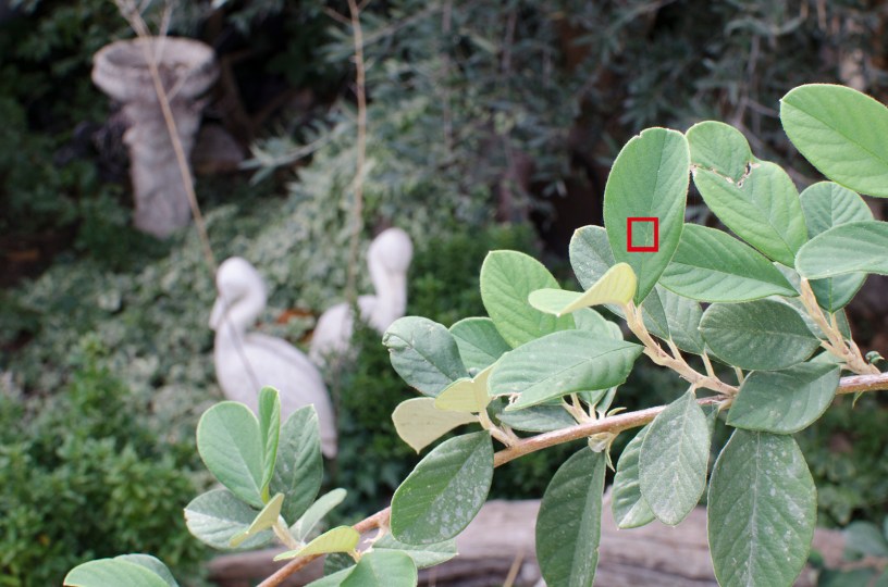 f11 1/40 sg. (ISO 500) _DSC2457 (11)