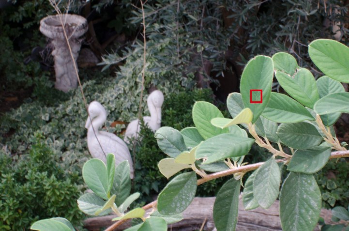 f22 1/10 sg. (ISO 500) _DSC2458 (22) mini