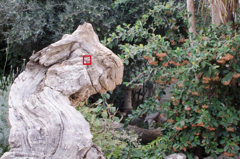 f22 1/13 sg. (ISO 500) _DSC2459 (22) mini