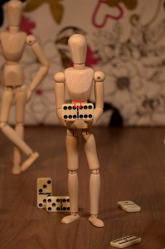 _DSC3962 (155 mm) mini