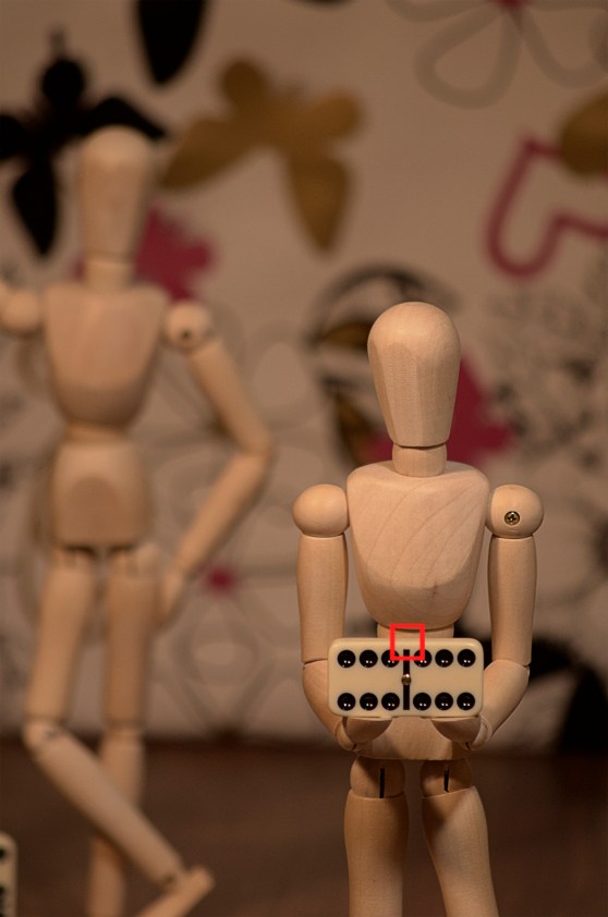 _DSC3963 (210 mm) mini