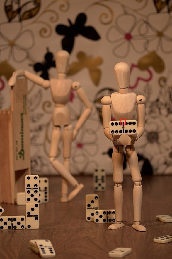 _DSC3976 (1,5 m) mini